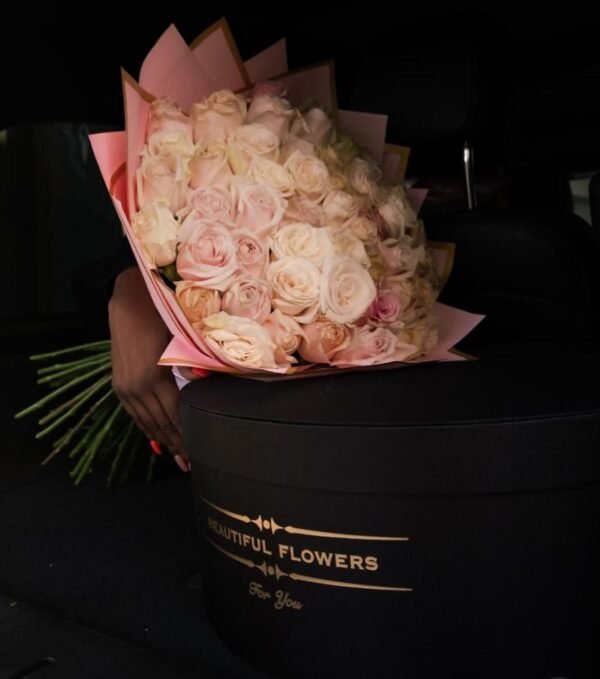 Light Pink Roses